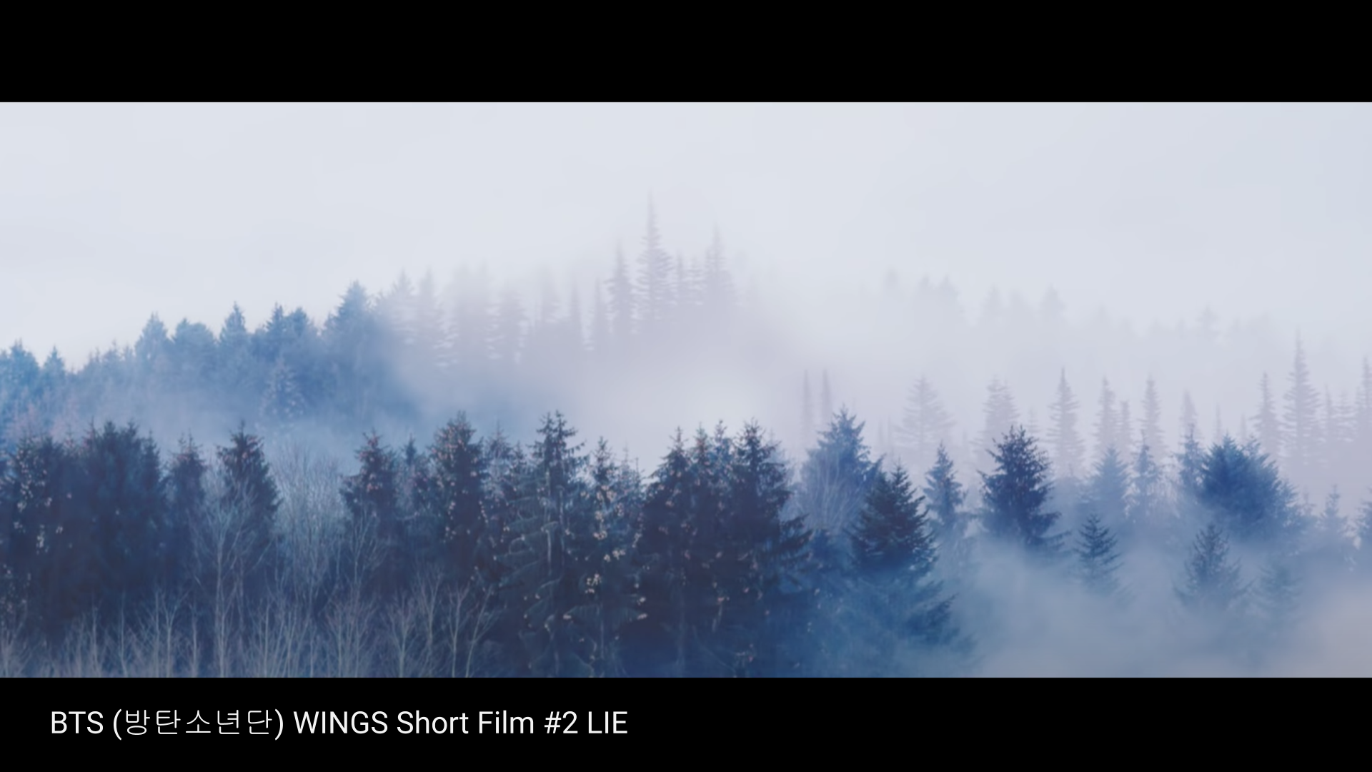 Pine Forest Image 3